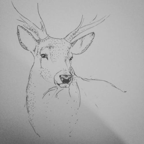 no it&rsquo;s not a cow with antlers #tattoodesign #tattooart #tattoo #illustration #drawing #artwor