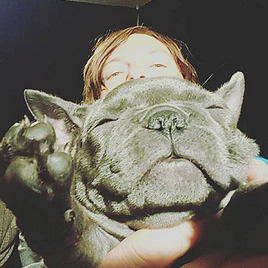reedusgif:  Norman with the puppy during TRIPLE9 interview