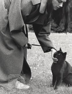 luxe-pauvre:‘Cat Walk’ by Oliver Hadlee