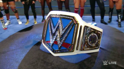 totaldivasepisodes:  Dig that new Women’s Championship for the Blue Brand™