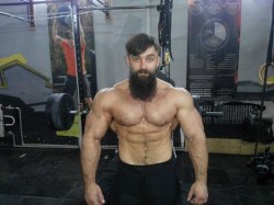 fightingtestosterone:  Beard power  You&rsquo;re a power lifter Harry.