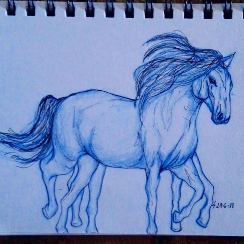 My Sleipnir
