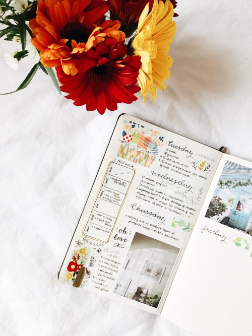 studyrose: my final week in january ✨ wishing you all a beautiful saturday xx insta: studyrose