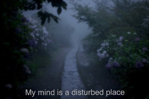 popular-boy:  blog that will make your dash awesome ♥
