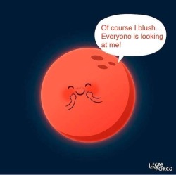 darksideofthemeow:  Never thought astronomy could be so cute. 