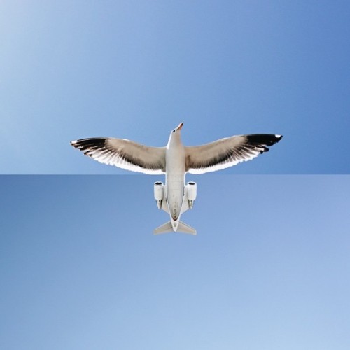 actegratuit:    Stephen McMennamy  combo photos
