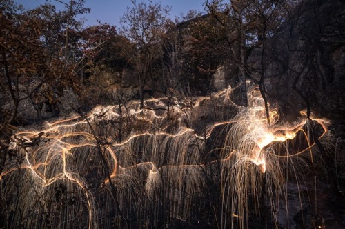 sixpenceee:  Energetic Light Paintings Highlight porn pictures