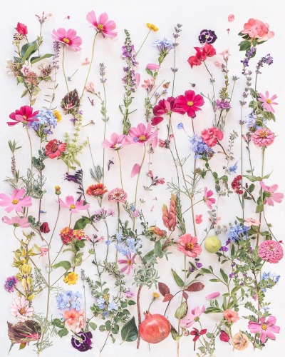 fleur-aesthetic:instagram | krissmacd 