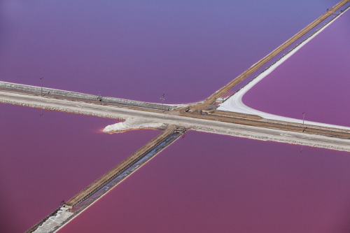 itscolossal: Purple Views of the San Francisco Bay Salt Ponds by Julieanne Kost