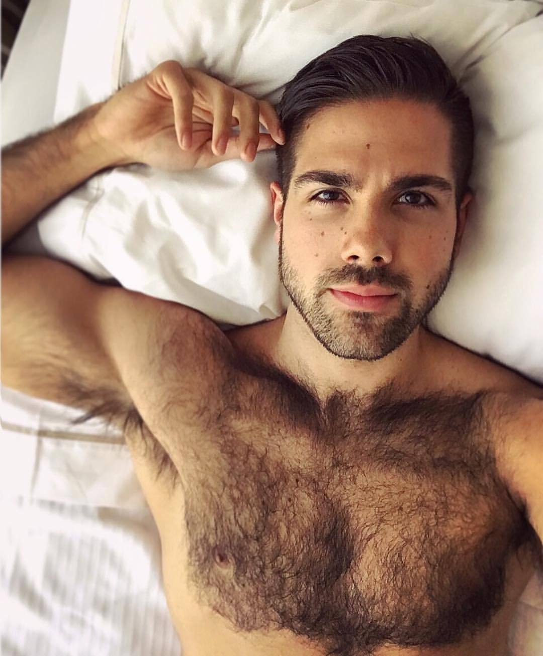 Sexy. Hairy. Reblogs.