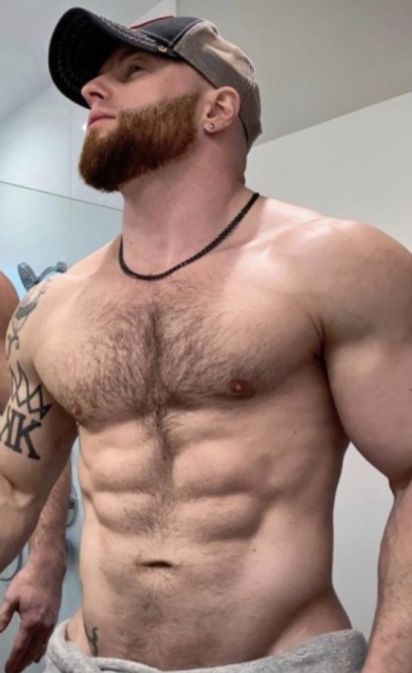 justforgayp0rn:American alpha breeder none better, bend and obey 