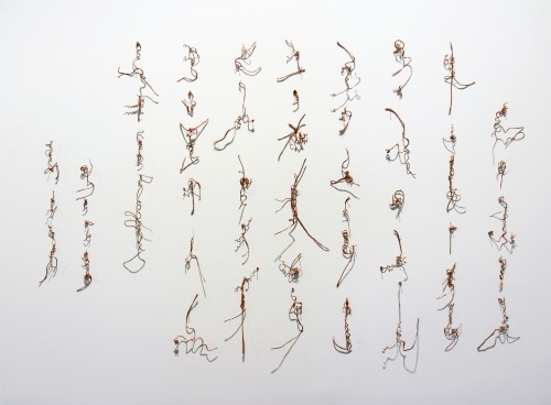 Cui Fei. Tracing the Origin XV_001, 2013.installation, copper wire, pins