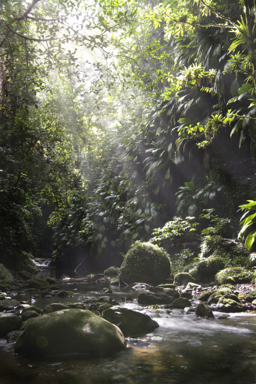 ata-raxie:  Rivière Tambour, Guadeloupe (by Jérémy Rondan)