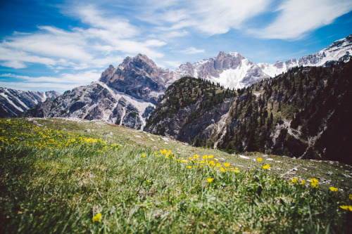 trentino