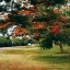 kmxlxndrxsworld-blog