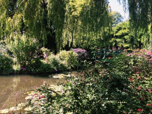 vangoghpal:Monet’s house in Giverny, France.