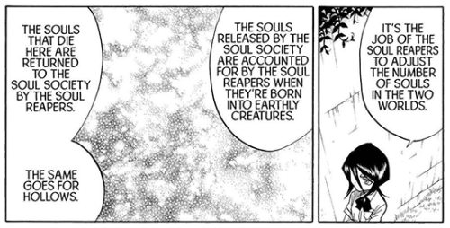 It’s the job of the Soul Reapers to adjust the number of souls in the two worlds.