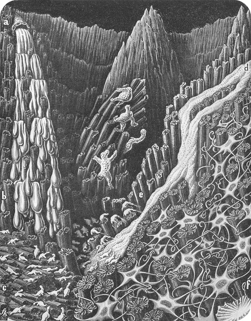 mucholderthen:  Fritz Kahn lithographs The depths of a wound, 1943 The Mammary Gland,