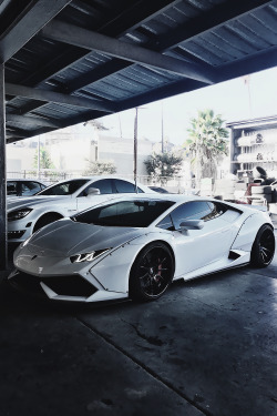 envyavenue:  Huracan in the Shadows 