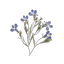 lifebloomd