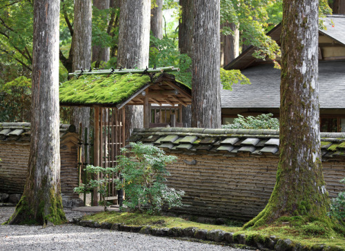 Kohoh-en (garden) in Furumine-jinja (shrine), Kanuma-shi (city) Tochigi-ken (Prefecture), Japan.  Ph