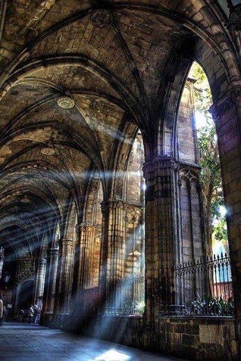 Within The Darkness