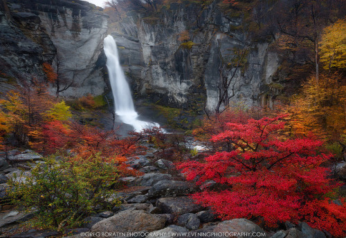 drxgonfly: The Colorful Flow and The Fall (by Greg Boratyn) Photographer’s Website | Instagram