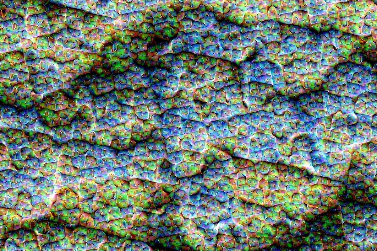 businessinsider:  These trippy images show how Google’s AI sees the world