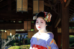 Geisha-Kai:  Maiko Katsuyakko For December (Source) 
