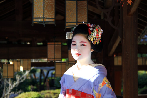 geisha-kai:  Maiko Katsuyakko for December (SOURCE) 