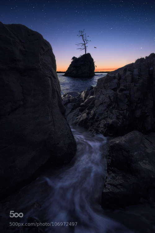 photography-col:  Not so Lonely Island. © by BrianAdelberg