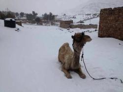 laughingsquid:  A Rare Winter Storm Hits The Middle East, Blanketing Desert in Snow