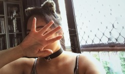 boobsbraidsandbruises:  Being a kitty around