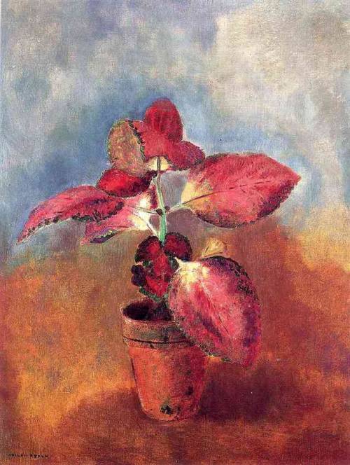 Begonia in a Pot by Odilon RedonMedium: oil on canvas