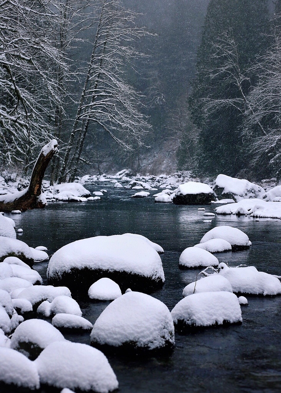 hannahaspen: Twin Falls, WA © Hannah Aspnes 
