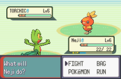 poke-problems:  First rival battle. 