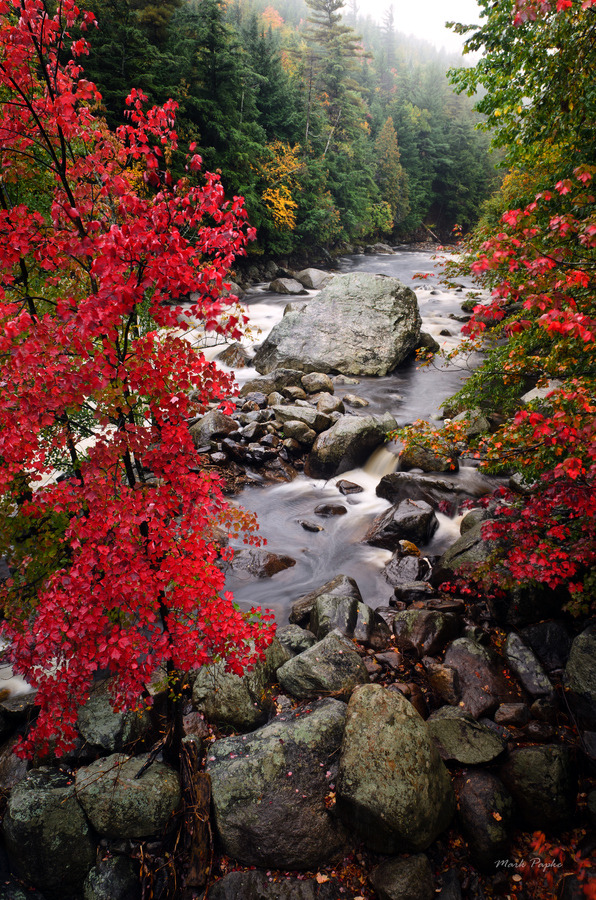 monongahelanymph:  10bullets:  Untitled by Mark Papke 