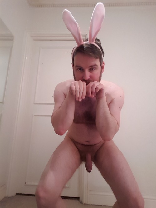shagbunny:Surprisingly, this may be the first time the Shagbunny has been seen as an actual bunny. Grrr …