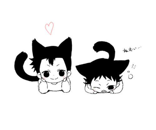 heeju1:  neko Mido and Ishigaki