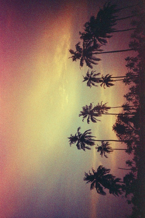 no description