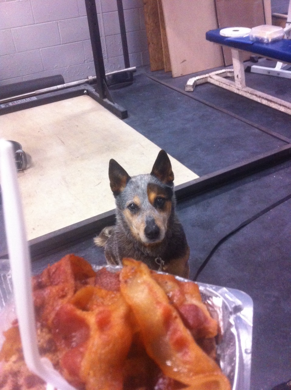 deadlifts-and-donuts:  theycallmemiketaylor:  sollevatore:  lunch with a side of