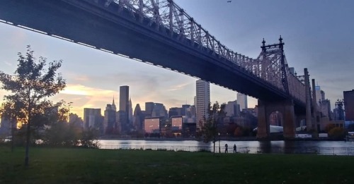 Dusk post 🕒➡️🕑 #Fall  (at Queensbridge Park) https://www.instagram.com/p/BpxuHAEnOTdfmb0axO2xrw32eTEj2f9re0KUGw0/?utm_source=ig_tumblr_share&igshid=1b00zpmj48hhf