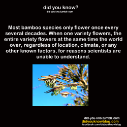 did-you-kno:  Source  This has ALWAYS fascinated me.  There is SO much we don&rsquo;t know.  I love it.