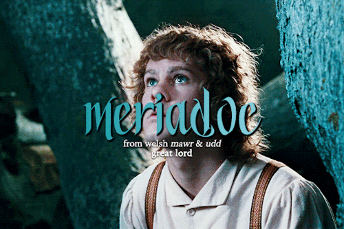 The Hobbits + Name Etymology 
