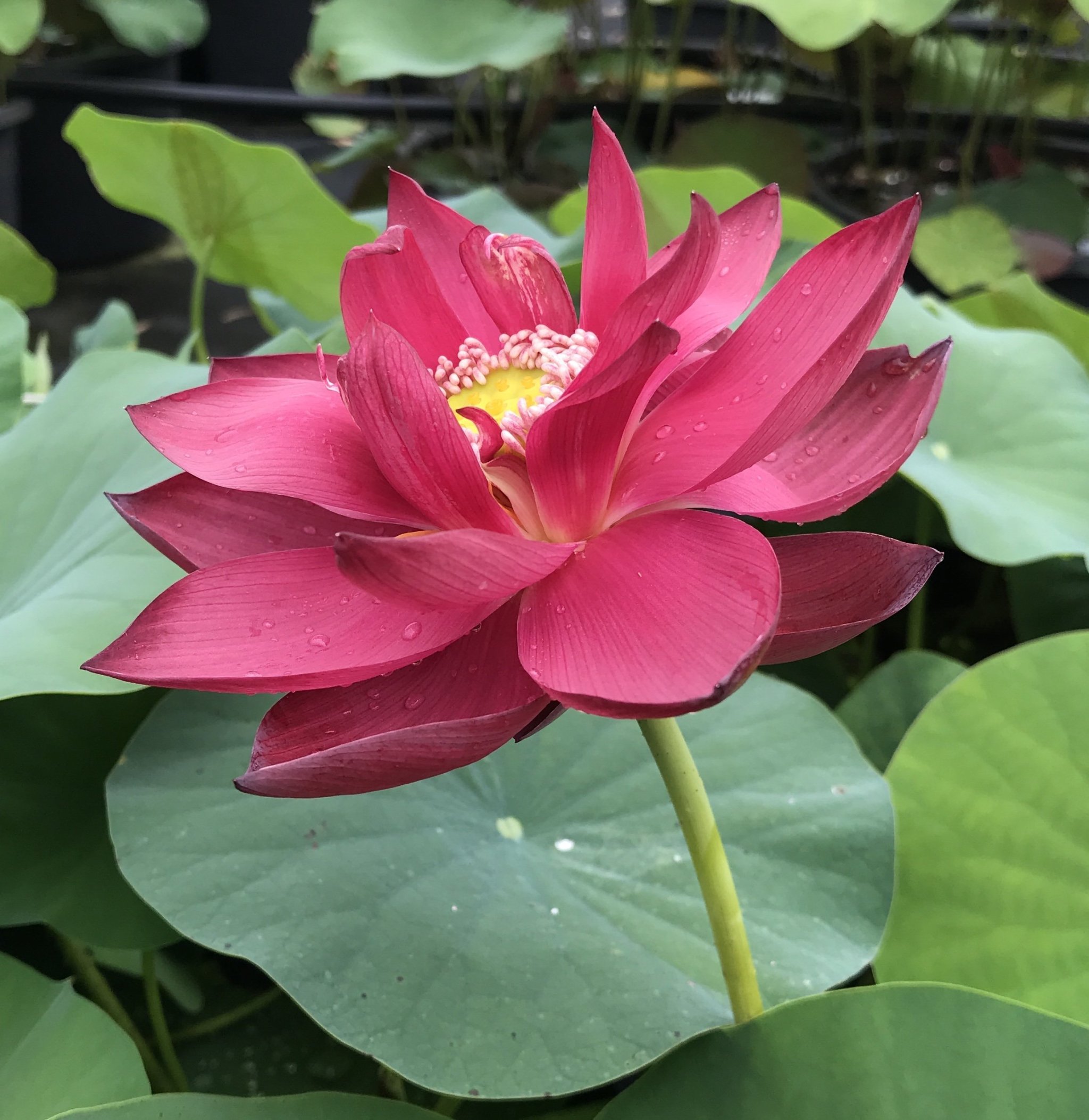 水滴石穿 Explore Tumblr Posts And Blogs Tumgir 水滴石穿 Explore Tumblr Posts And Blogs Tumgir