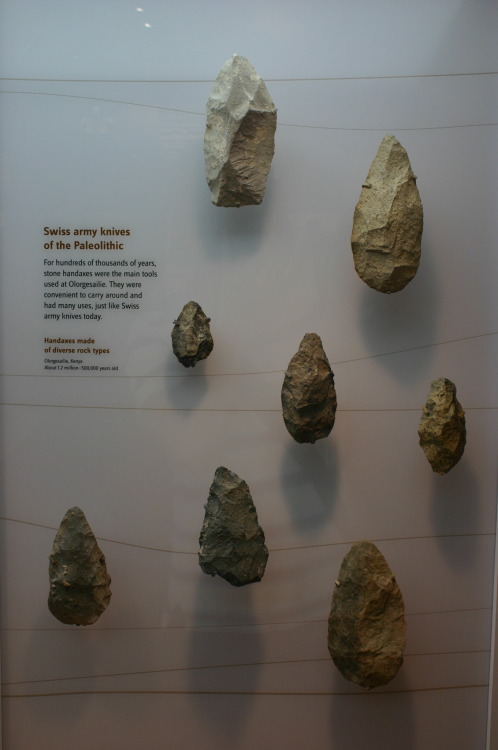 The &ldquo;Swiss army knives of the Paleolithic&rdquo; -Handaxes made of diverse rock types 