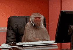 directedbywongkarwai:  me trying to calculate the exact date zayn’s single will drop in between now and march