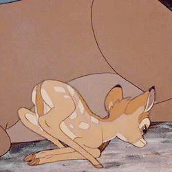 Sleepingbaeuty-Blog:  &Amp;Ldquo;Look! He’s Trying To Get Up!&Amp;Rdquo; 