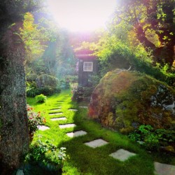 voiceofnature:Isn’t this the most cozy location for a little cabin retreat? 😊🌿 My instagram: voiceofnature