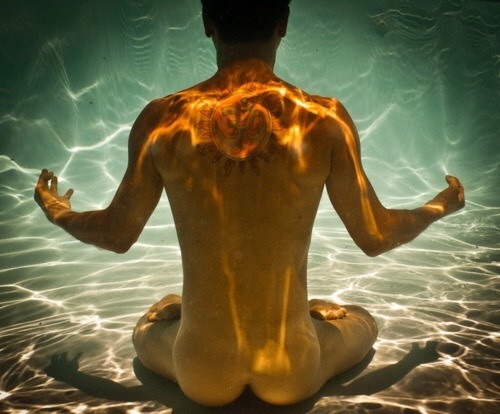 yogibodies:  